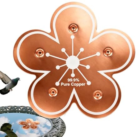 Générique Bird Bath Copper Disk - koppar 3,94 tum, reningspanel | väderbeständig | Fågel badrenare för bakgård trädgård hemmaägare trädgårdsmästare entusiaster