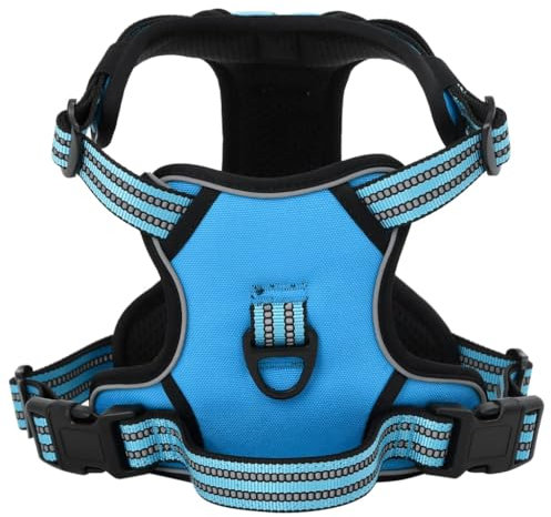 vidaXL Hundegeschirr, Brustgeschirr mit Leine Halsband, Sicherheitsgeschirr Reflektierend Verstellbar, Haustiergeschirr, Blau XL Polyester