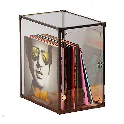 CD-hållare Förvaringslåda for vinylskivor, förvaringsväska for LP-skivor med ram av aluminiumlegering, organisk glasomslag for skivförvaringslåda, lätt att installera CD-lagringsställ(Transparent)