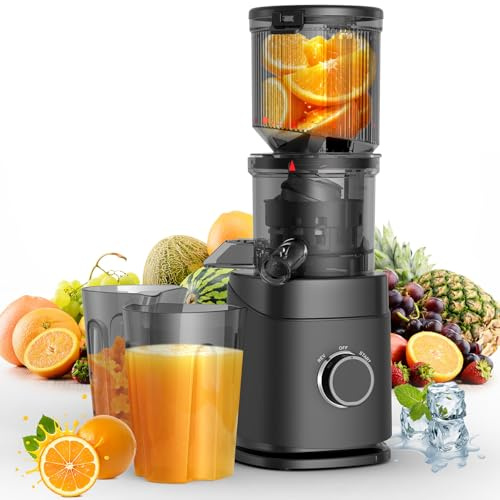Juicer Machines, Cold Press Juicer Professional for Maximum Nutrients & High Yield, Ultra-Quiet Motor Efficient with Leafy Greens to Hard Vegetables, Easy to Clean Design, Black