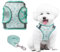 PawSailor No-Pull-Hundegeschirr Und Leine-Set, Step-In-Blumendruck, Verstellbares, Atmungsaktives Netz-Haustiergeschirr, Reflektierendes, Weich Gepolstertes Westengeschirr Für Kleine Hunde, Grün, XXS