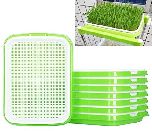 STCRERAG 5 Stück Keimung Tablett Kunststoff Samen Keimung Tablett 34 * 25 * 4cm Plastik Seed Sprouter Hoch atmungsaktive Seed Starter Tray Dauerhaft Kresse Keimschale für Verschiedene Samen (Grün)
