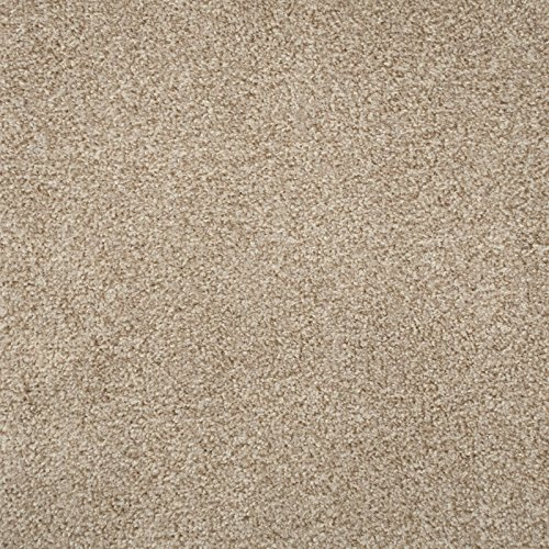 247Floors Flecked Twist Pile Carpet Roll, Hardwearing Felt Backing (8m x 4m, Beige)