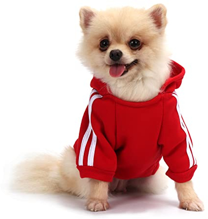 QiCheng & LYS Manteau Polaire pour Chiot, Pull Chihuahua, Vêtements Chien, Manteau Hiver (Rouge, X-Small)