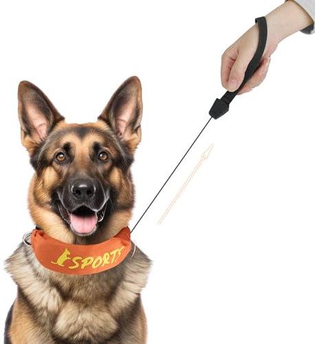 NAMSAN 2-in-1-Hundehalsband mit Rollleine Leine Verstellbares Hundehalsband Eingebaut Ausziehbar Hundeleine mit Griff für Mittlere und Große Hunderassen