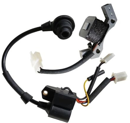 Bobine d'allumage Compatible avec MZ80 148F 24V, 1,8 kw, 2,2 kw, générateur d'onduleur, allumeur à Stator solide Compatible avec groupe électrogène à 4 temps