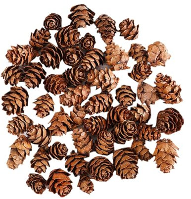 100 Pcs Christmas Pine Cones Small Natural Pine Cones Winter Pinecone Ornaments Mini Rustic Pinecones Xmas Tree Pinecones for Home Decor