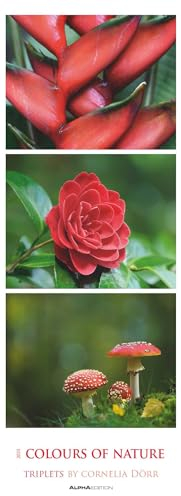 Alpha Edition - Colours of Nature: Triplets 2025 Streifenkalender XXL, 25x69cm, Kalender mit 3 aufeinander abgestimmten Bildern pro Monat, Notizmöglichkeiten und internationales Kalendarium