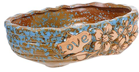 Toyvian 1pezzi in Per Piante Da Decorativo Per Giardinaggio Da Piantagione Ornamentale