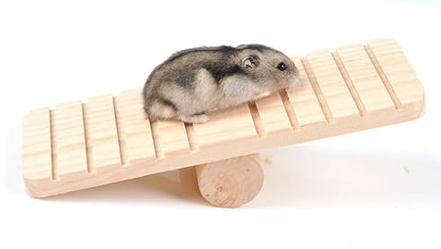 HEEPDD Haustier Holzbrücke, Käfig Verbrauchsteuer Naturholz Wippe Plattform Hamster Wippe für Kleintiere Zwerghamster Maus Ratte Rennmaus Igel