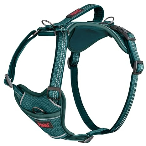 Halti Anatomy Dog Harness with Handle | Size L, Teal