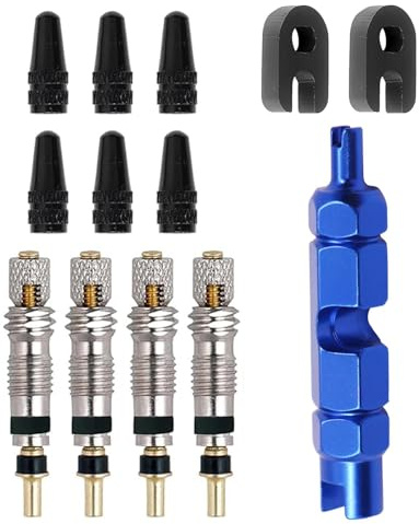 13 piezas de adaptadores de válvula de bicicleta, juego de núcleos de válvula con herramienta de extracción de inserto de válvula para reparación de bicicletas. Núcleos de válvula franceses de