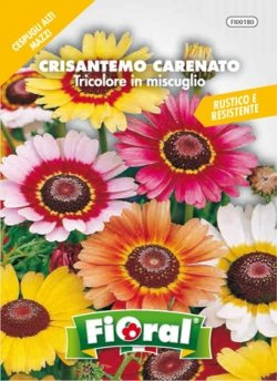 Sementi da fiore di qualità in bustina per uso amatoriale (CRISANTEMO CARENATO TRICOLORE IN MISCUGLIO)