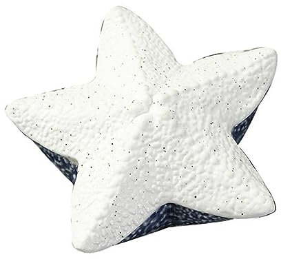 DEARMAMY Organisez Vos Accessoires Boîte à Bijoux en Céramique Ocean Couvercle de Rangement pour Bracelets de Voyage Boucles D'oreilles Colliers