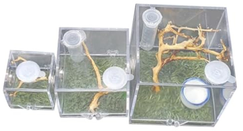 WEKAMOS 3pièces Boîte Acrylique pour Nourrir Et Élever Insectes avec Port Alimentation Transparent pour Araignées Sauterelles Et Petits Reptiles Habitat Pratique Et Anti-évasion
