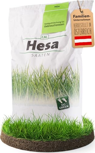 Hesa Prato da 10 kg per 400 m², RSM 2.3, sport e prato da gioco, semi di erba di alta qualità, resistenti e robusti, qualità professionale