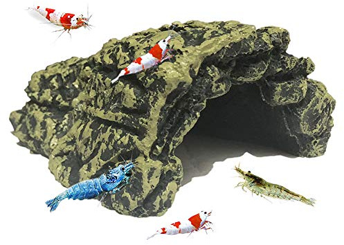 SLOCME Grotte décorative pour aquarium Betta,Abri confortable en résine ou Betta et crevettes, bords lisses et texturés doux et cachette spacieuse pour les poissons Betta pour se reposer et se reposer