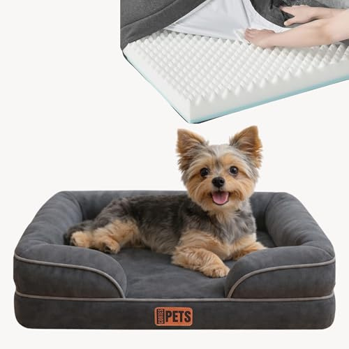 CORTES PETS Orthopädisches Hundebett für Kleine Hunde - Hundekörbchen - Hundekissen - Waschbar - mit erhöhte Ränder - Hundesofa kleine Hunde – Memory Foam - Wasserfeste Hundebetten