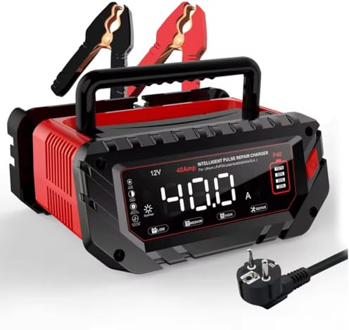 NONDK Batteriladdare 480W för LiFePO4 för Litium Blysyra 6V/12V/24V 40A med Desulfation EU