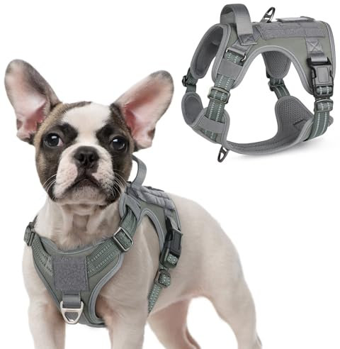 rabbitgoo Hundegeschirr Kleine Hunde, Anti Zug Geschirr Hund Verstellbar mit Griffe Verbreitert, Robust und Verschleißfest, Taktisches Hundegeschirr mit Metallschnallen zum Wandern(S, Grau)
