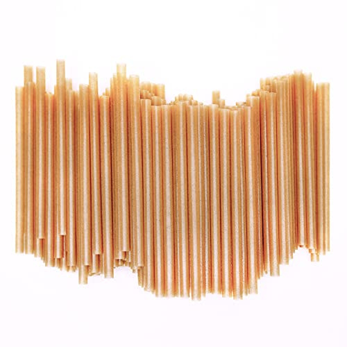 5 Inch Short Biodegradable Cocktail Straws 200 pcs Compostable Cocktail Stirrers Straws Made from 100% Sugarcane Fiber A Plasticless Sturdy Drinking Straws for Hot and Cold Drinks Not Foggy