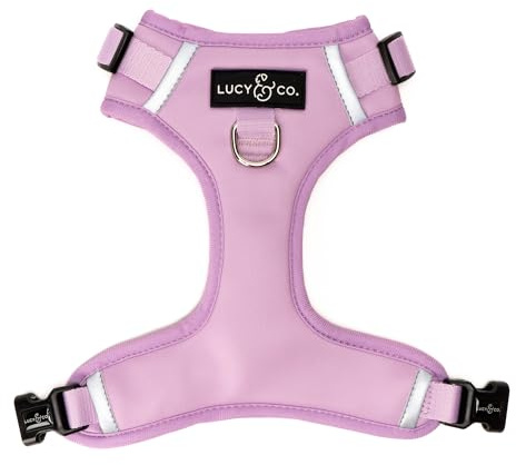 Lucy & Co. Feeling Fintastic Reversible Harness, Walking Halter - Best Designer Pet Harnesses for Large Dogs - Padded Adjustable Vest for Easy Walking, Large, Mint Green Blue Fish & Stripes