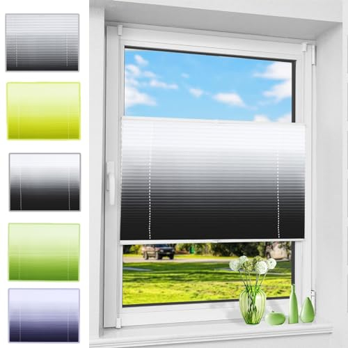 Plissee Klemmfix ohne Bohren 90 x 120 cm Sonnenschutz und Sichtschutz lichtdurchlässig Faltrollo Jalousie Rollo mit Klemmträger / -fix für Fenster & Tür, Schwarz