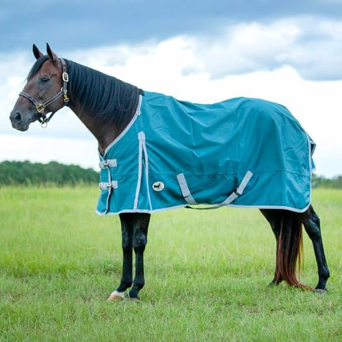Jeffers Economy 600 Denier Standard Neck Horse Sheet 0 Gram Polyfill, 75 Inch – Waterproof Lightweight Turnout Blanket Sheet for Horses - Stable, Barn, Pasture, Travel, Adjustable Fit - Teal Grey
