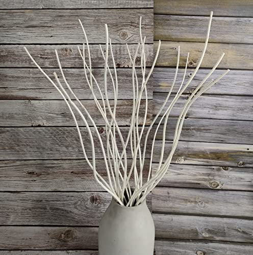 Branches de saule bouclées séchées - Branches décoratives pour décoration de vases - Branches Ting Ting pour vases, guirlande de sapin de Noël, couronne à paillettes (blanc)