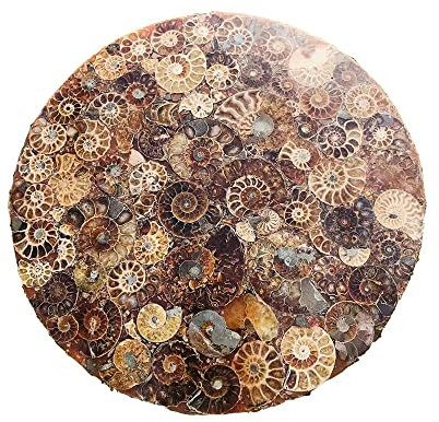 AUOQKQUT Plaque de Pierre de Quartz Ammonite Circulaire, Tranche de Cristal Brut Naturel, spécimen de Pierre précieuse 230mm-250mm 1 pièce PEIQIYIN décoration d'intérieur