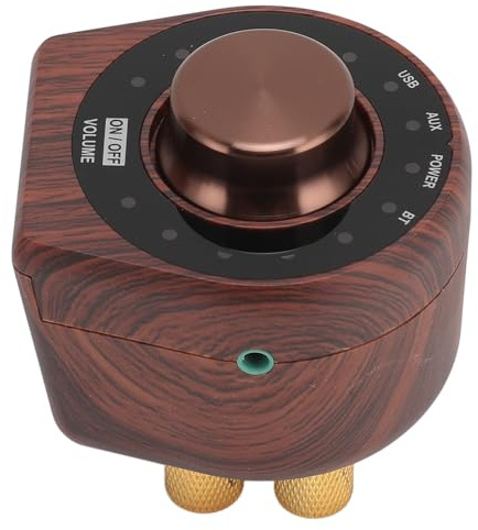 SENECESLI Sound Performance Amplifier, LED, the Lamp 5.0 Small Amplifier 2.0 for Computer for Mobile Phones for Speakers Show