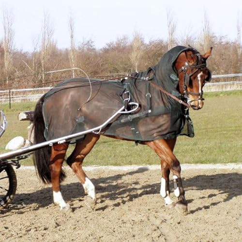 Fahrfliegendecke mit Halsteil für Fahrpferde - mit Öffnungen für das Fahrgeschirr - Pferdedecke - Blau, Gr. 145