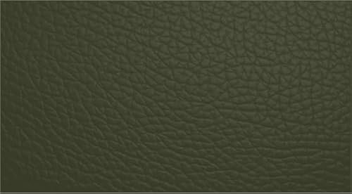 Leather Furniture Restorer Repair Paint in Colours, for sofa, car seats, shoes, hand bag restoring colour (Brass Green, 250ml Bottle)