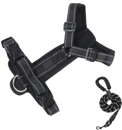 XFSRG Arnés Perro Grande y Mediano con Correa Chaleco Acolchado Ajustable con Tiras Reflectantes Arnés Transpirable en Y para Perros Comodidad y Seguridad para Paseos （Negro L）