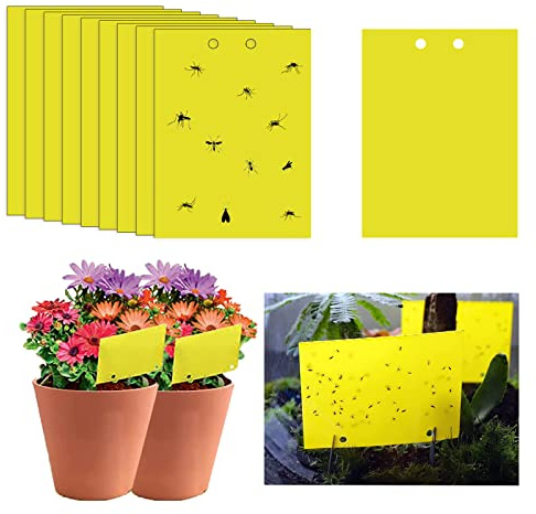 Klibbiga flugfällor, 25 x 40 cm gula flugpappersklistermärken, svamp gnat fällor insektsfälla, klibbiga flugfångare dubbelsidig för insekter mot svamp gnat, vitflugor, bladlöss