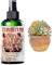 Plant Fertiliser - Fertilizer Indoor Potted Plants | 150ml Cactus Food Plant Fertilizer, Liquid Fertiliser Indoor Plants Food, Spray Root Stimulator, Cactus Fertilizere