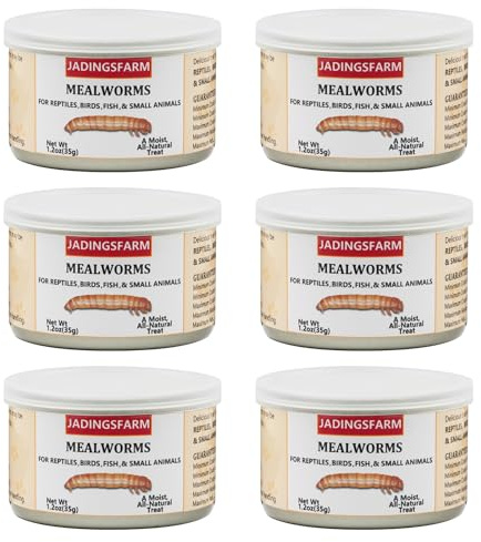 JADINGSFARM 6 Pack Canned Mealworms for Reptiles, Fish, Birds and Small Animals, Meal Worms, Healthy High Protein Treat, Reptile Bird Fish Food 7.2 Ounces Total