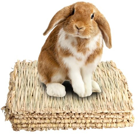Anseom 5 Pièces Tapis d'herbe pour Les Lapins Jouets à Mâcher Lapin Lits Mâcher Tapis de Paille Tissé pour Petits Animaux Tapis d'herbe Tissé Naturel pour Lapins Cochon d'Inde Chinchilla Hamster