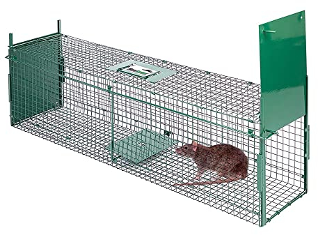 MaxxGarden Piège à Animaux - Cage Rat Professionnel - Piège à Fouine - 60x18x20 cm - Trappe Capture - Piège à Souris - Appat Souris et Rat - Réutilisable - Pliable - Vert