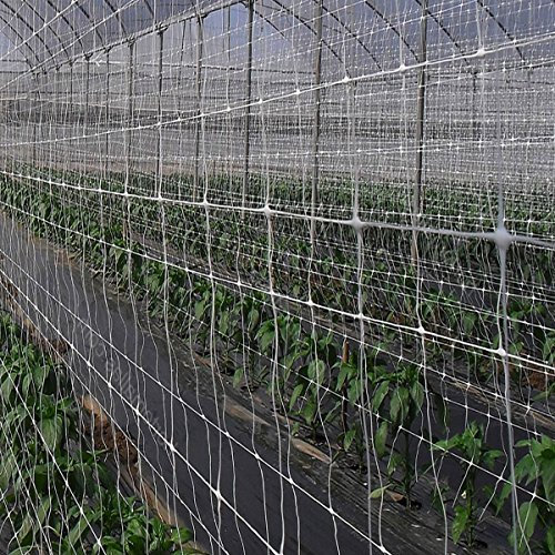 STI Rete per Sostegno e Supporto per Piante Piselli Ortaggi Rampicanti Nr14 2x10 mt