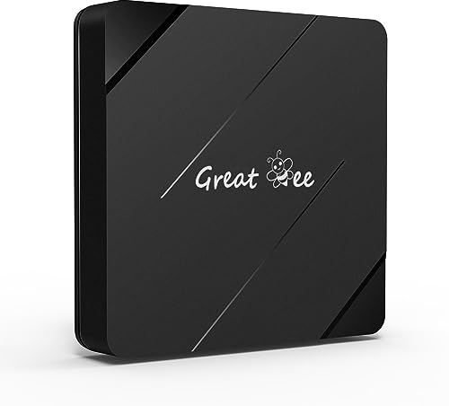 Great Bee Free for Life Android 10 arabisk TV-box för IPTV Quad Core Allwinner H313 1G 8G Smart TV-lådor
