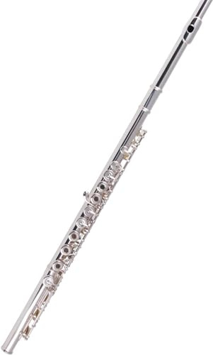 LABLADUO Flöjter, flöjter musikinstrument cupronickelkropp 17-håls flöjt silverflöjt öppningslinje typ med E-nyckel