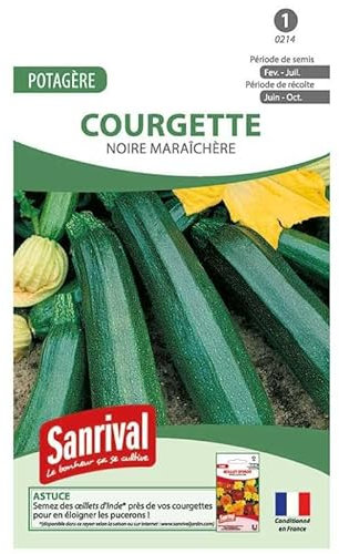 Graines de Courgettes