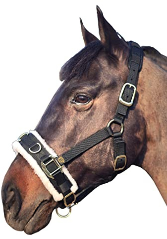 T TEKE Lunge Cavesson with Fleece Lined Nose Band and Crown