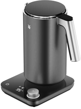 WMF Master Wasserkocher doppelwandig, Edelstahl, 1,3l, elektrischer Wasserkocher, sicher isolierter Innenraum, Cool-Touch-Glasdeckel, 2400 Watt, Temperatureinstellung in 5 Stufen, edelstahl, grau matt
