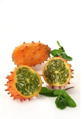 60 graines de fruits de kiwano