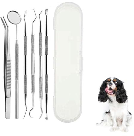Kit De Limpieza Dental Para Perros, Herramientas Para Cuidado Dental De Mascotas, Herramientas Para Cuidado Dental De Perros De Acero Inoxidable, Herramientas Para Limpieza Dental De Perros Y Gatos