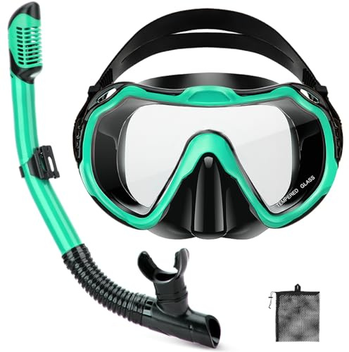 PIYAZI Snorkeling Gear for Adults, Adult Snorkel Set with Panoramic Anti-Leak and Anti-Fog Tempered Glass Snorkel Mask, Dry Top Snorkel, Snorkle Mask Set Adult with Mesh Bag Ear Plug for Snorkeling