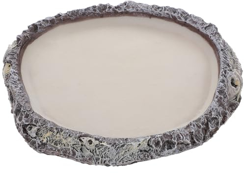 Artibetter Comedero y Bebedero para Reptiles, Soporte de Alimentación para Tortugas y Dragón Barbudo, Plástico Seguro, Tamaño Mediano, para Terrarios y Cuidado de Reptiles Domésticos