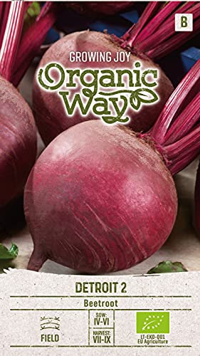 Organic Way | BETTERAVE ROUGE DETROIT 2 des graines | Graines de légumes | 1 Paquet